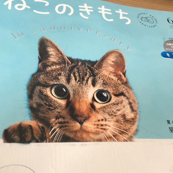 ねこのきもち6月号【2021年】到着！雑誌・ふろくレビュー - 福袋ギルド